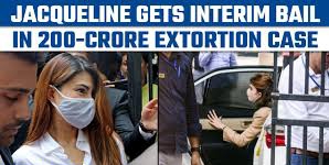 Delhi court grants interim bail to Jacqueline