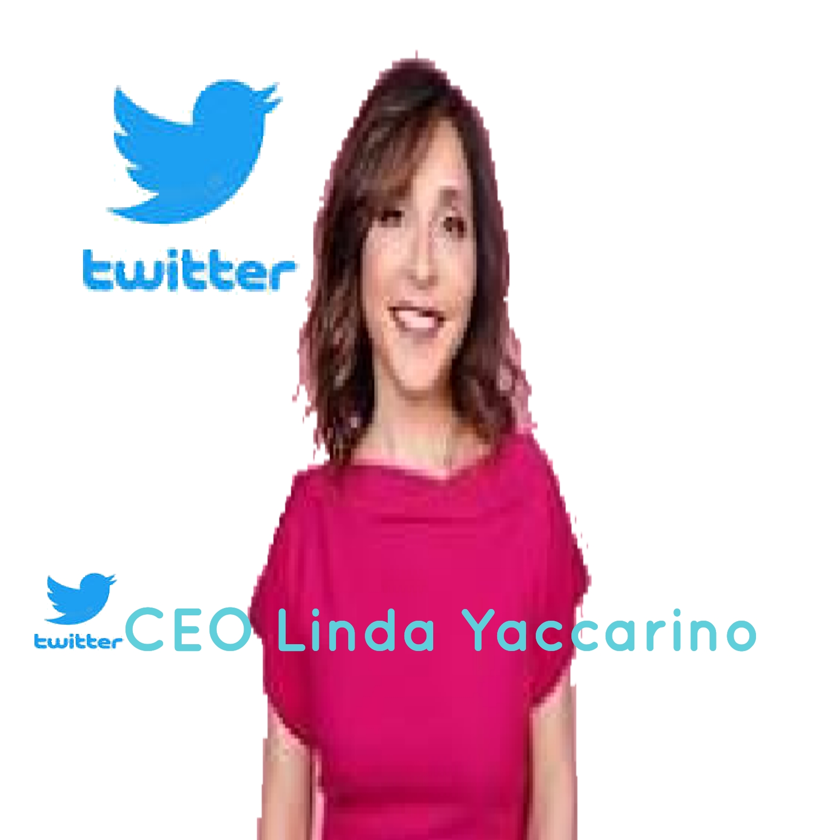 New Twitter CEO LINDA Yaccarino