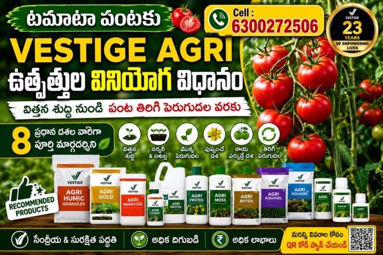 tomato vestige agri product recommendation